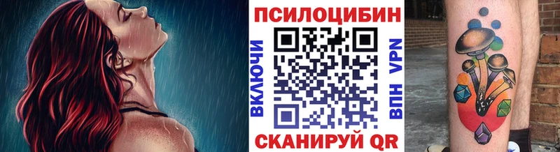 Галлюциногенные грибы Psilocybe Назрань