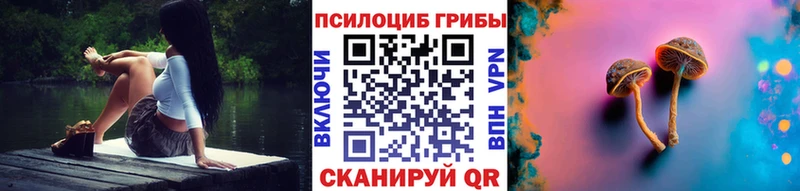 гидра зеркало  Назрань  Псилоцибиновые грибы Psilocybe 