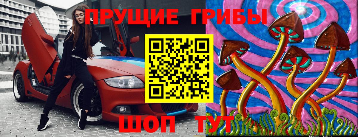 Псилоцибиновые грибы Psilocybe Назрань