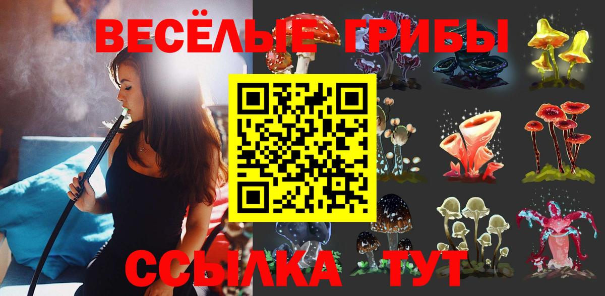 Псилоцибиновые грибы мицелий Назрань