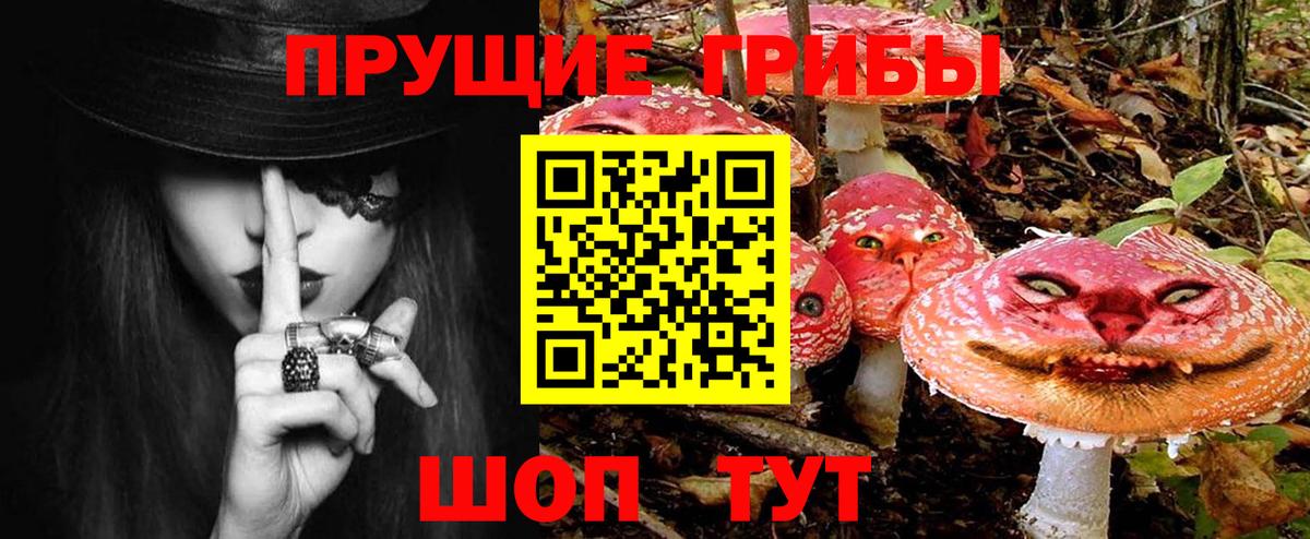 где купить наркоту  Назрань  Галлюциногенные грибы мицелий 